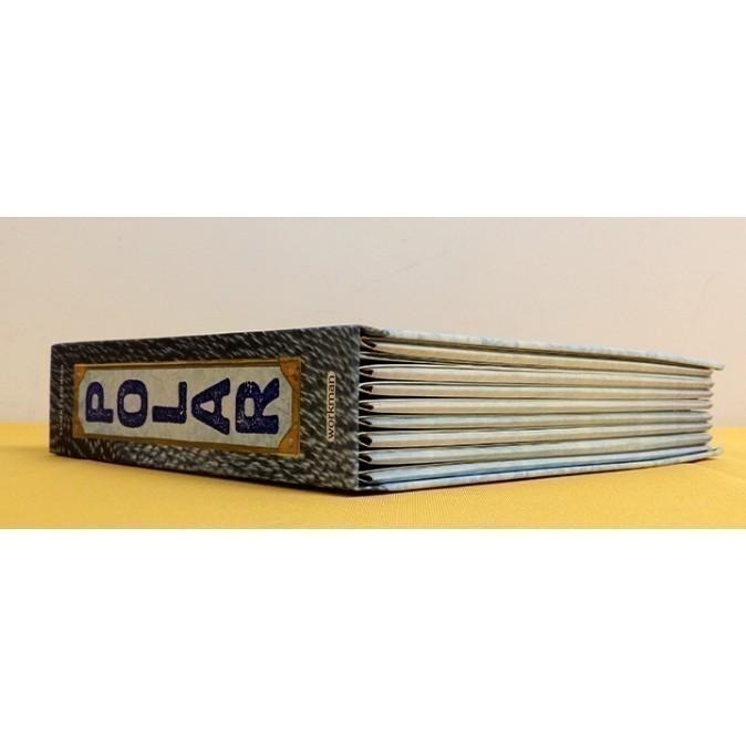 缺書店🍀精裝英文Polar: A Photicular Book極地動物🍀多視角3D 立體影像書-細節圖4