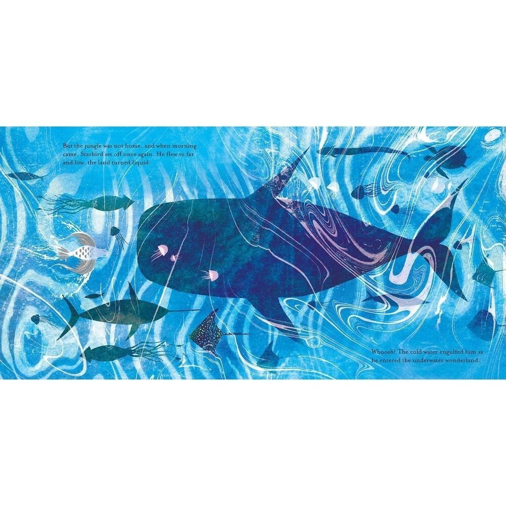 現貨🌞英文繪本Starbird 愛和自由的寓言故事Sharon King-Chai🍀封面和內頁插圖均有燙銀🍀缺書店-細節圖6