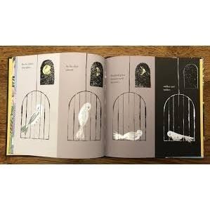 現貨🌞英文繪本Starbird 愛和自由的寓言故事Sharon King-Chai🍀封面和內頁插圖均有燙銀🍀缺書店-細節圖7