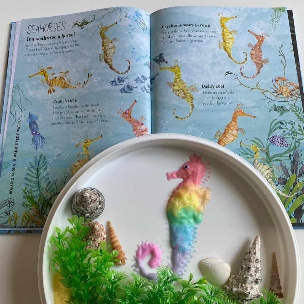 塑封精裝大開本科普繪本The Big Book of Blue大書系列🍀插畫家Yuval Zommer🍀缺書店-細節圖4