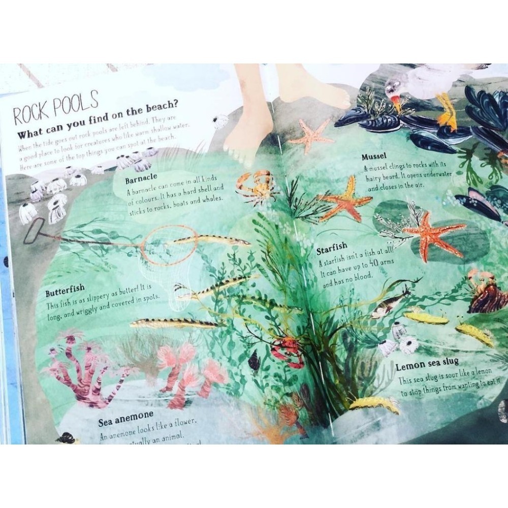 塑封精裝大開本科普繪本The Big Book of Blue大書系列🍀插畫家Yuval Zommer🍀缺書店-細節圖5