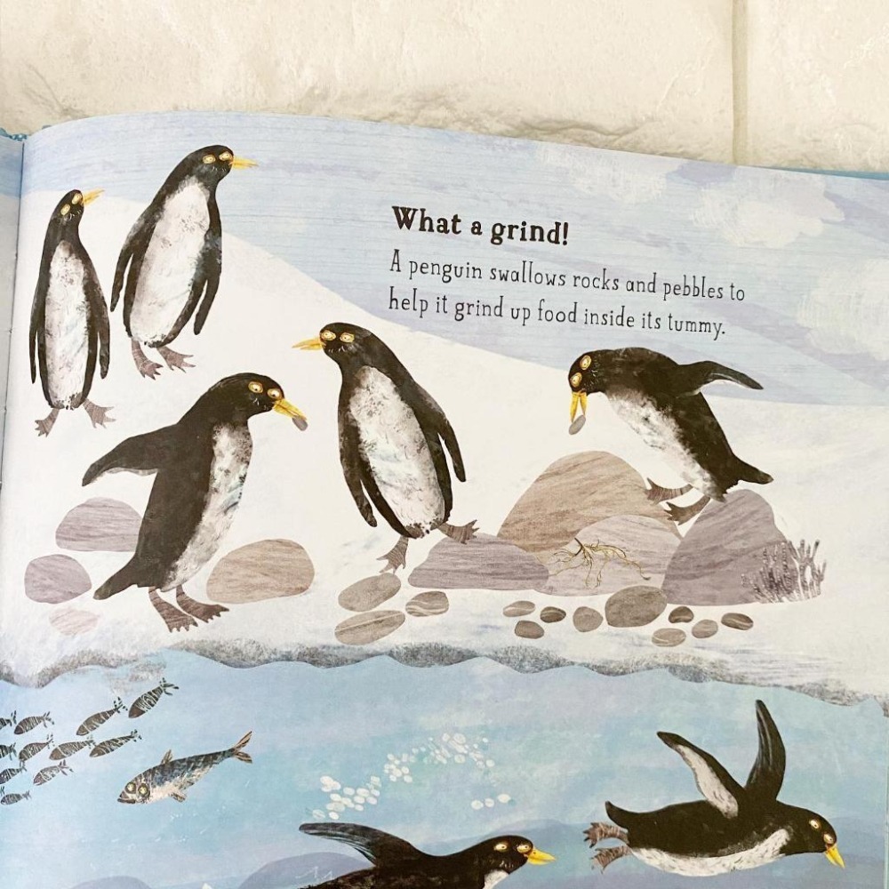 塑封精裝大開本科普繪本The Big Book of Blue大書系列🍀插畫家Yuval Zommer🍀缺書店-細節圖7