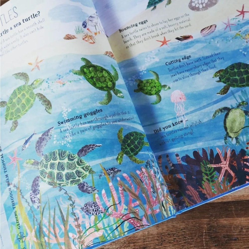 塑封精裝大開本科普繪本The Big Book of Blue大書系列🍀插畫家Yuval Zommer🍀缺書店-細節圖8