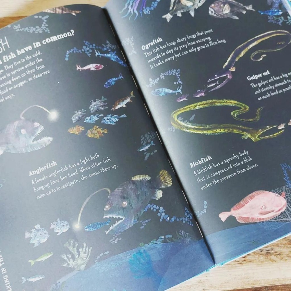 塑封精裝大開本科普繪本The Big Book of Blue大書系列🍀插畫家Yuval Zommer🍀缺書店-細節圖3