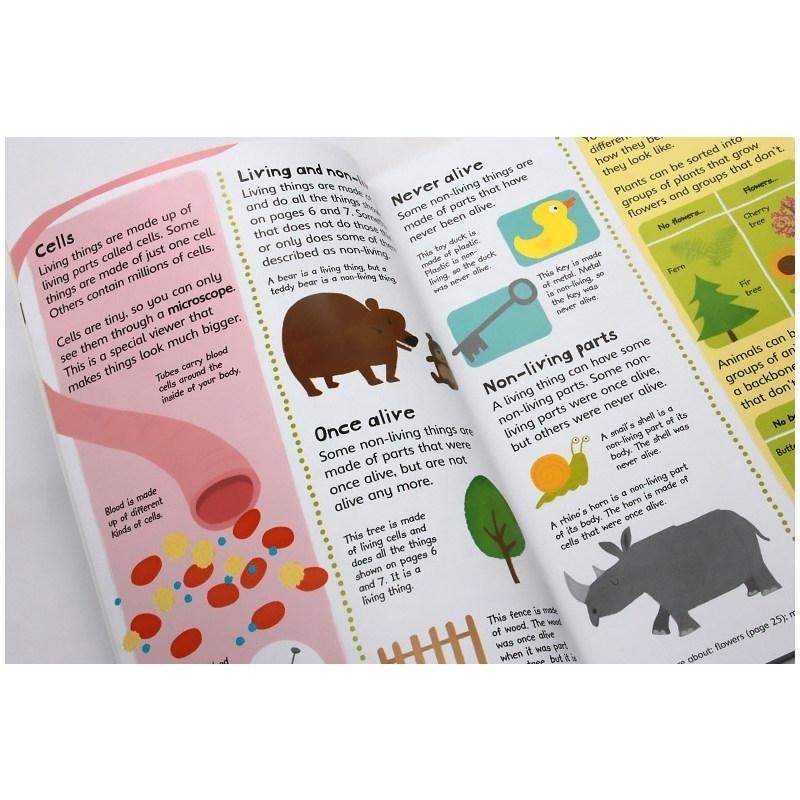 缺書店🍀Usborne圖解科學字典First Illustrated Science Dictionary基本科學概念-細節圖3