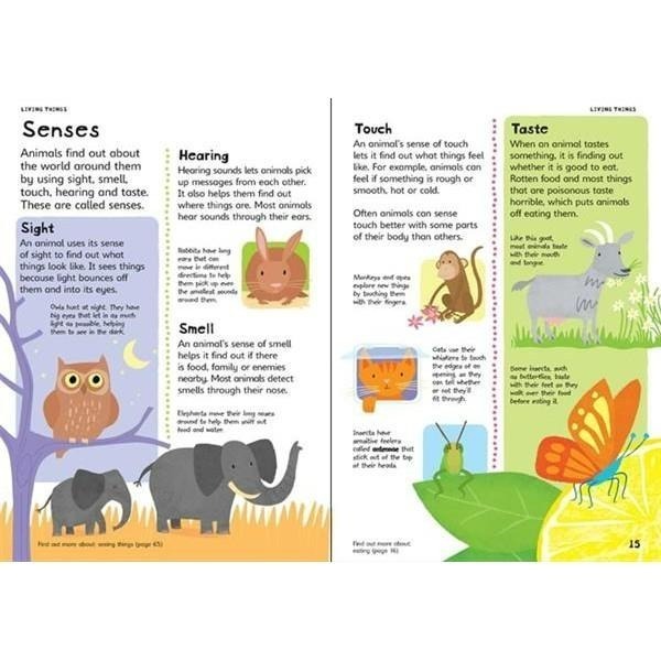 缺書店🍀Usborne圖解科學字典First Illustrated Science Dictionary基本科學概念-細節圖5
