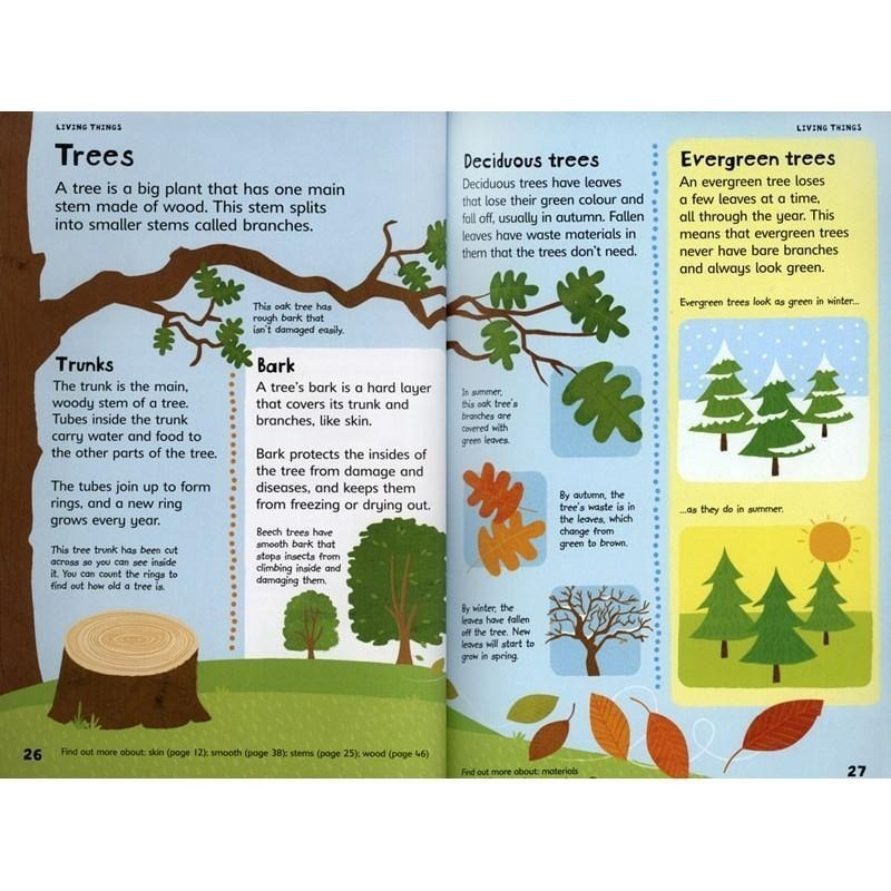 缺書店🍀Usborne圖解科學字典First Illustrated Science Dictionary基本科學概念-細節圖7