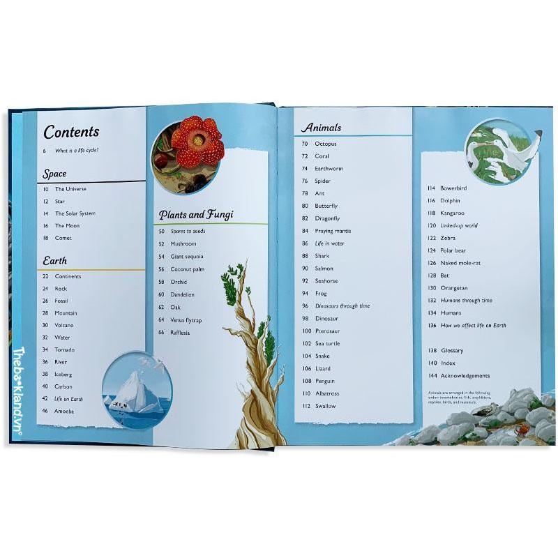 赠音檔精裝DK英文科普Life Cycles: Everything from Start to Finish🍀缺書店-細節圖2