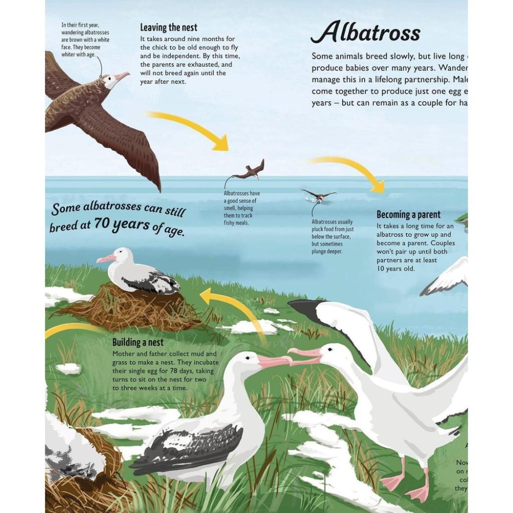 赠音檔精裝DK英文科普Life Cycles: Everything from Start to Finish🍀缺書店-細節圖4