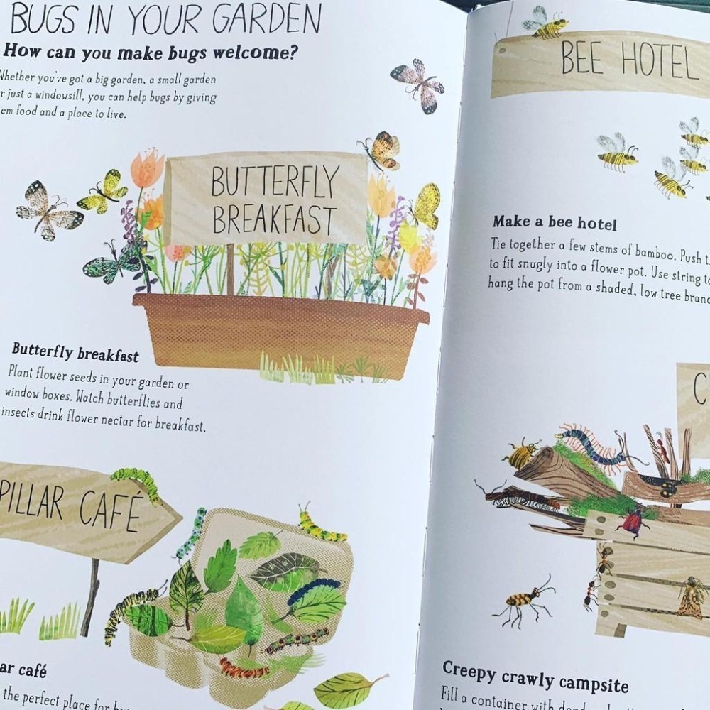 精裝英文知識科普繪本🍀The Big Book of Bugs蟲蟲大書 🍀插畫家Yuval Zommer🍀缺書店-細節圖2