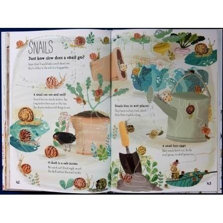 精裝英文知識科普繪本🍀The Big Book of Bugs蟲蟲大書 🍀插畫家Yuval Zommer🍀缺書店-細節圖4
