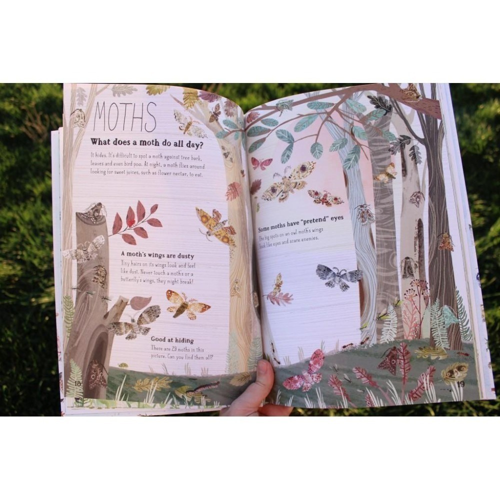 精裝英文知識科普繪本🍀The Big Book of Bugs蟲蟲大書 🍀插畫家Yuval Zommer🍀缺書店-細節圖5