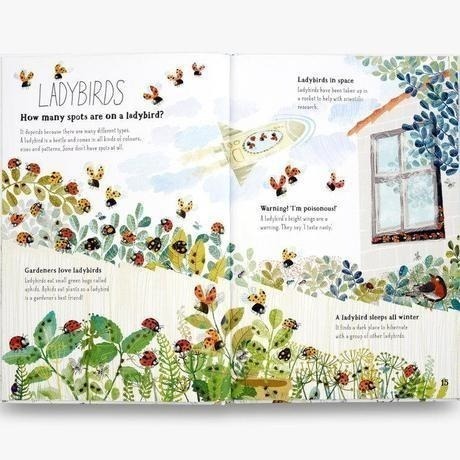 精裝英文知識科普繪本🍀The Big Book of Bugs蟲蟲大書 🍀插畫家Yuval Zommer🍀缺書店-細節圖6
