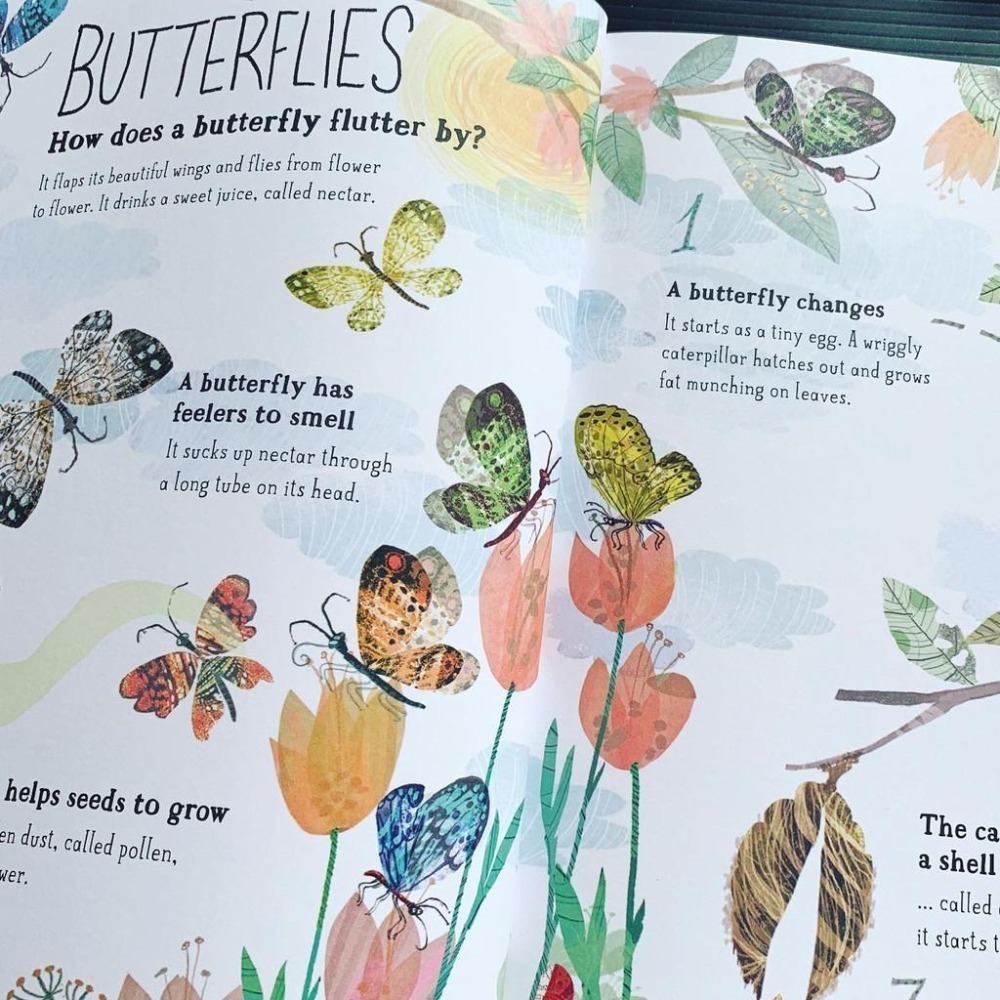精裝英文知識科普繪本🍀The Big Book of Bugs蟲蟲大書 🍀插畫家Yuval Zommer🍀缺書店-細節圖8