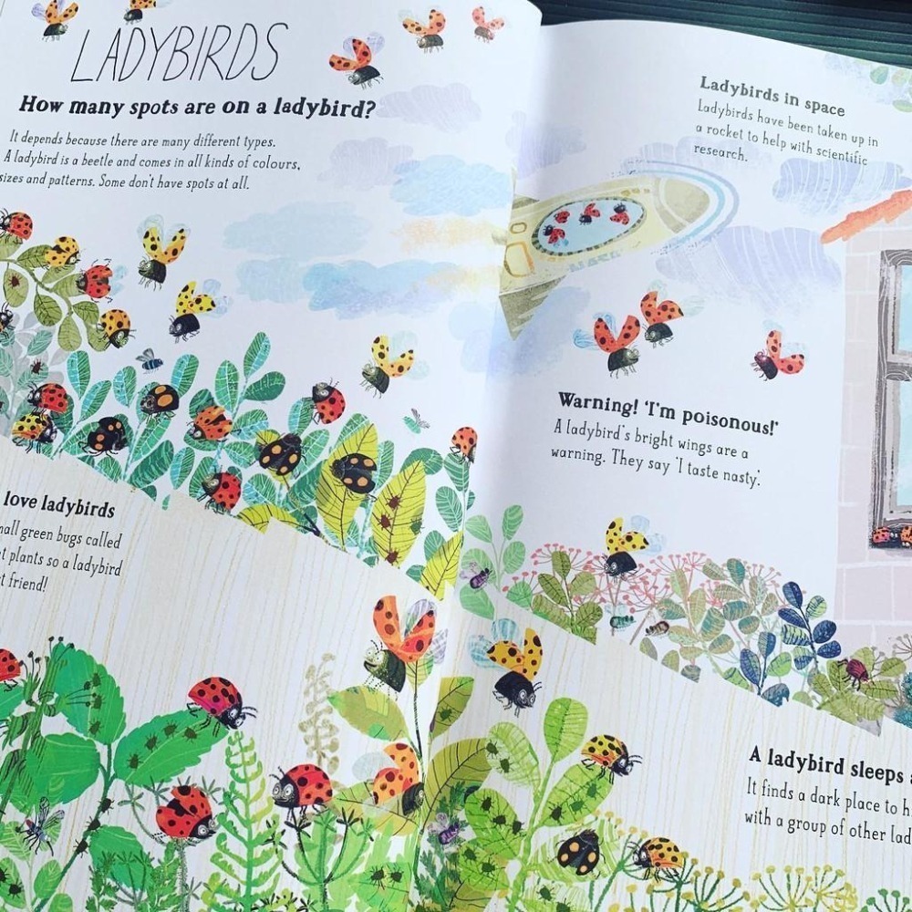 精裝英文知識科普繪本🍀The Big Book of Bugs蟲蟲大書 🍀插畫家Yuval Zommer🍀缺書店-細節圖9