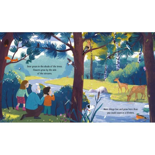 現貨🍀英文自然知識繪本🍀Who Makes a Forest?🍀插畫家Carolina Rabei🍀亞馬遜高分評價-細節圖8