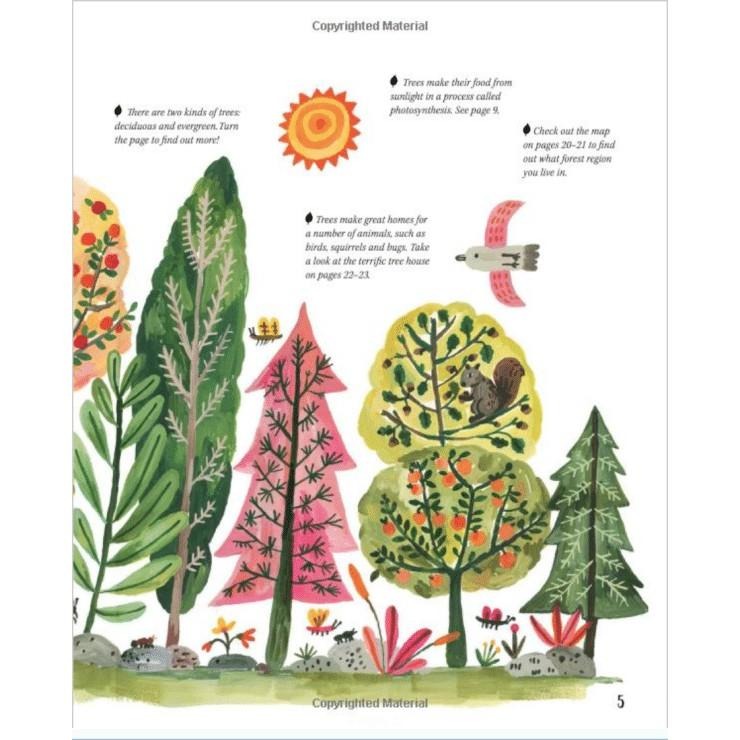 精裝英文自然科普知識繪本🍀Nature All Around: Trees🍀對樹木全面介紹和精美插圖🍀缺書店-細節圖4