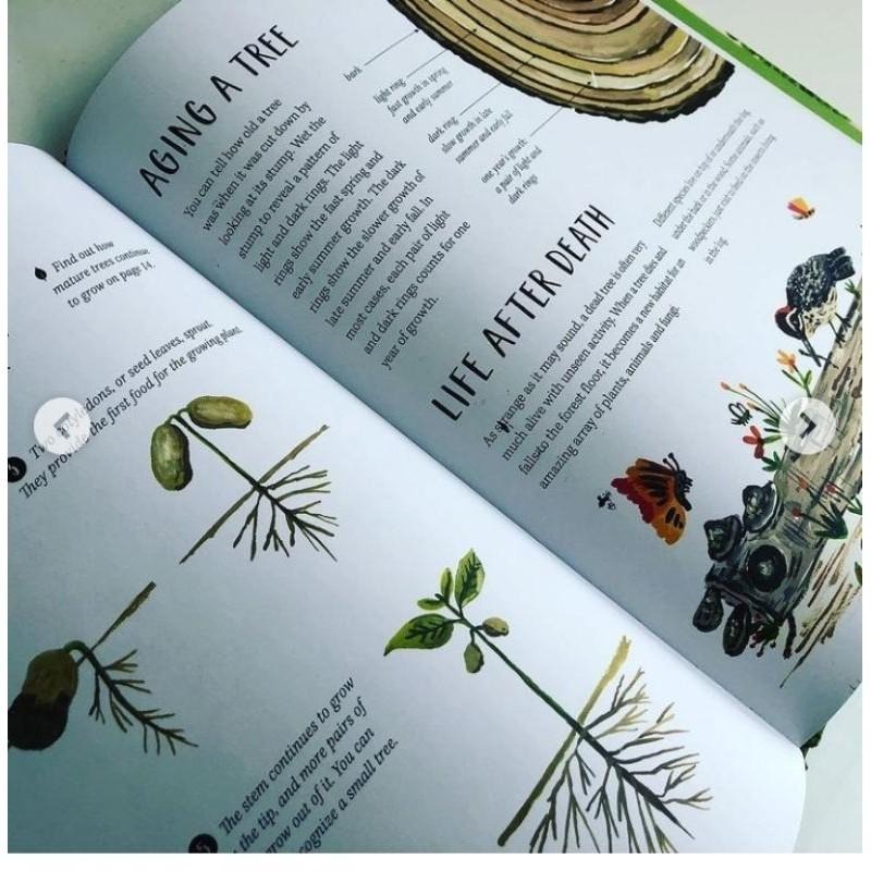 精裝英文自然科普知識繪本🍀Nature All Around: Trees🍀對樹木全面介紹和精美插圖🍀缺書店-細節圖8