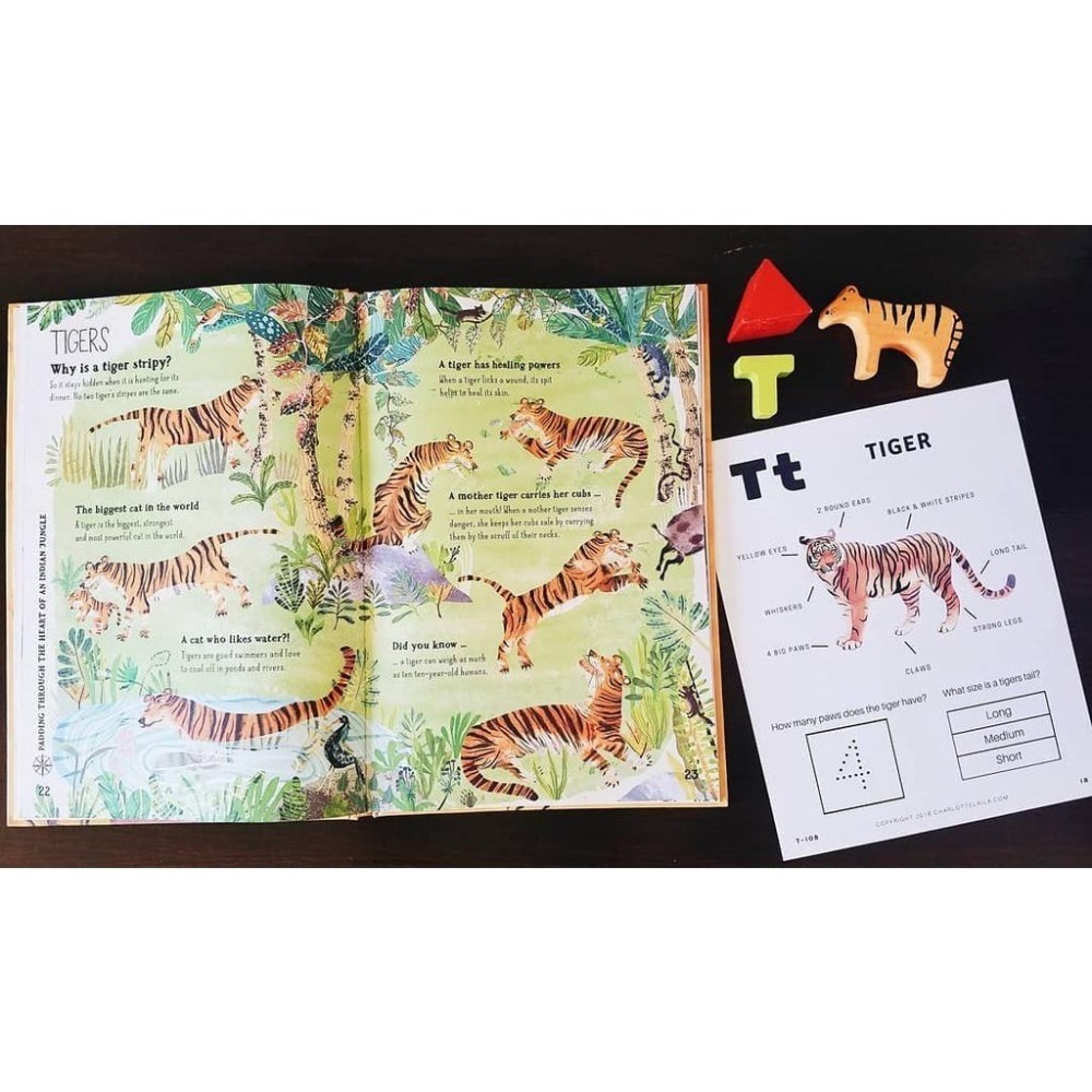 精裝大開本科普知繪本The Big Book of Beasts大書系列 🍀插畫家Yuval Zommer🍀缺書店-細節圖3