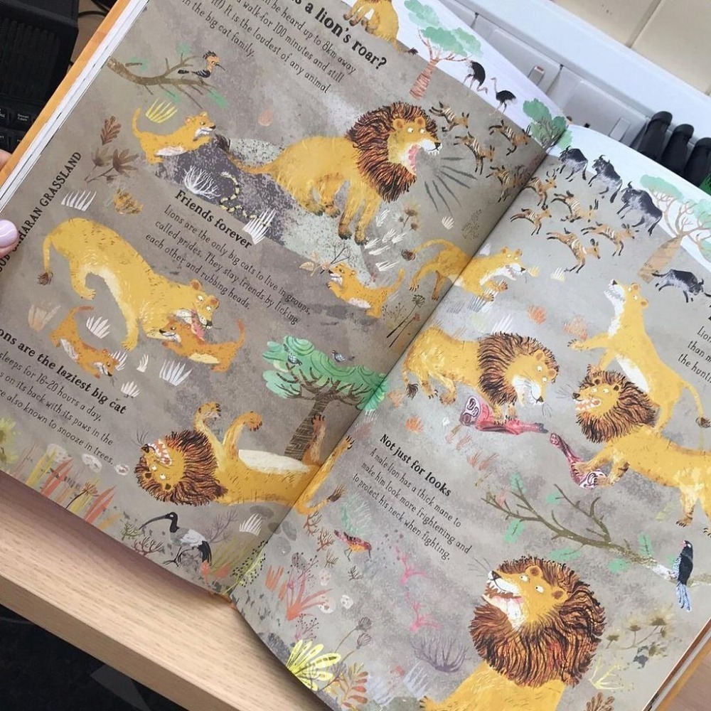 精裝大開本科普知繪本The Big Book of Beasts大書系列 🍀插畫家Yuval Zommer🍀缺書店-細節圖5