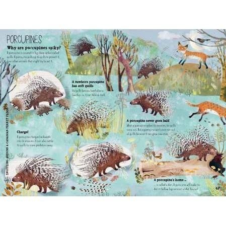 精裝大開本科普知繪本The Big Book of Beasts大書系列 🍀插畫家Yuval Zommer🍀缺書店-細節圖7