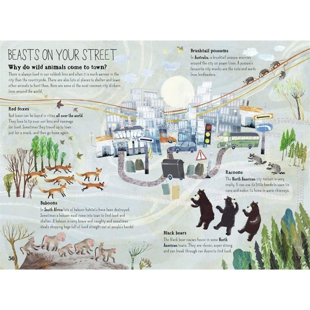 精裝大開本科普知繪本The Big Book of Beasts大書系列 🍀插畫家Yuval Zommer🍀缺書店-細節圖8