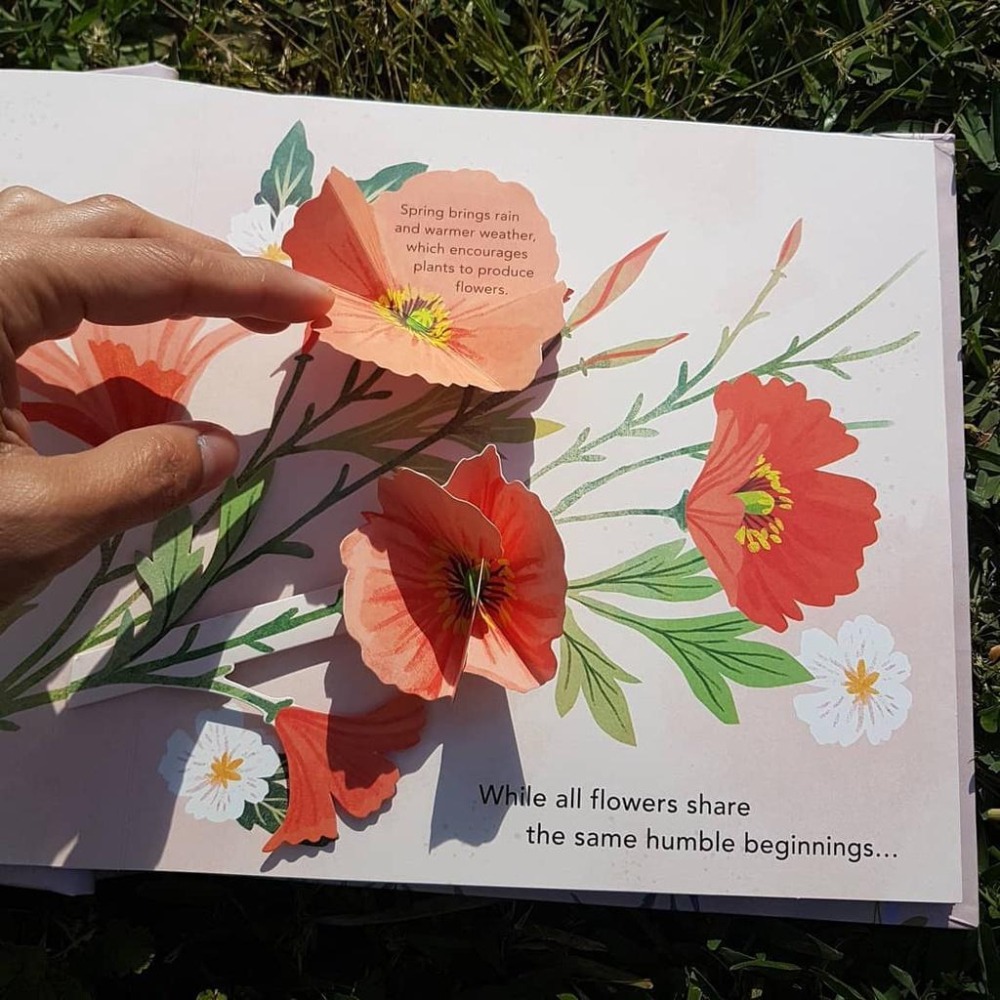 現貨🍀英文紙藝立體書Flora: A Botanical Pop-Up Book🍀嘆為觀止的花花世界Yoojin Kim-細節圖2