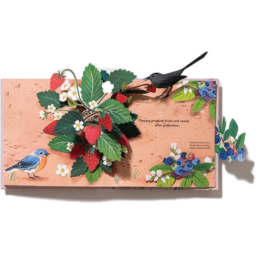 現貨🍀英文紙藝立體書Flora: A Botanical Pop-Up Book🍀嘆為觀止的花花世界Yoojin Kim-細節圖6