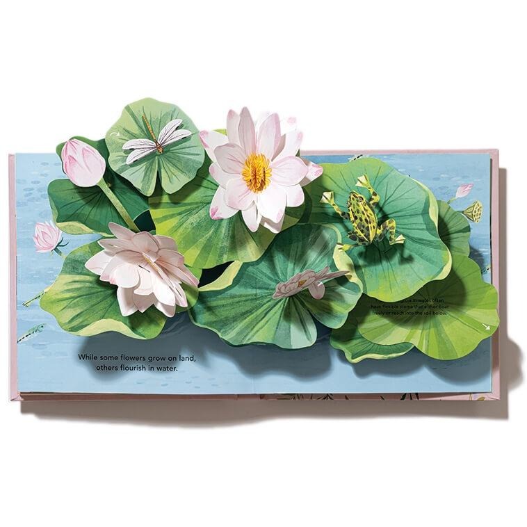 現貨🍀英文紙藝立體書Flora: A Botanical Pop-Up Book🍀嘆為觀止的花花世界Yoojin Kim-細節圖7