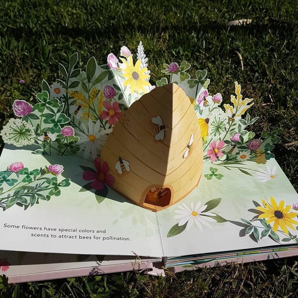 現貨🍀英文紙藝立體書Flora: A Botanical Pop-Up Book🍀嘆為觀止的花花世界Yoojin Kim-細節圖8