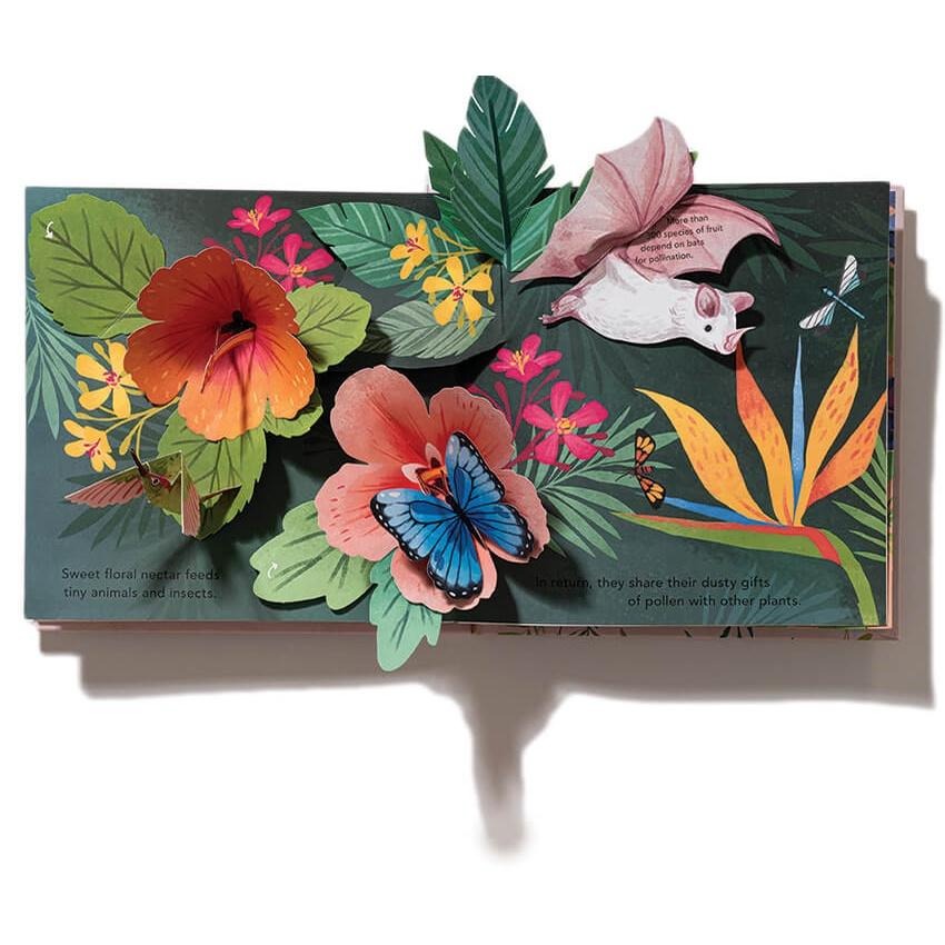 現貨🍀英文紙藝立體書Flora: A Botanical Pop-Up Book🍀嘆為觀止的花花世界Yoojin Kim-細節圖9