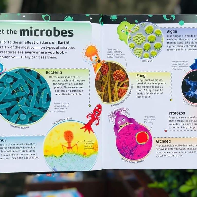 【贈音檔】現貨🍀DK英文科普知識繪本The Bacteria Book🍀微生物、真菌、細菌及細胞微生物小百科🍀缺書店-細節圖2