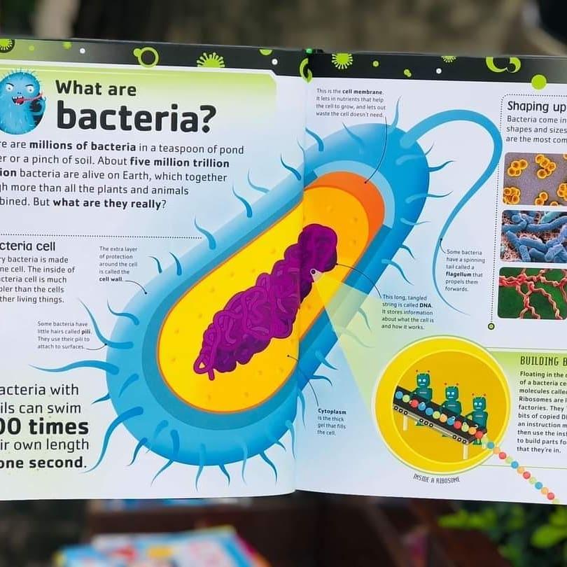 【贈音檔】現貨🍀DK英文科普知識繪本The Bacteria Book🍀微生物、真菌、細菌及細胞微生物小百科🍀缺書店-細節圖3