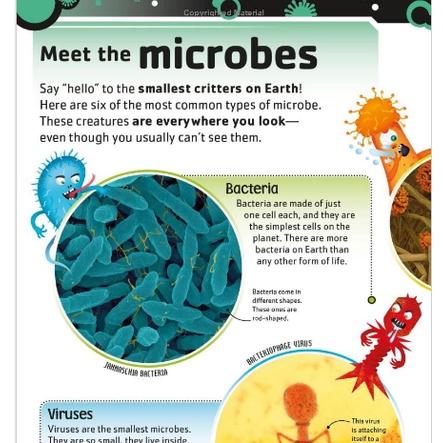 【贈音檔】現貨🍀DK英文科普知識繪本The Bacteria Book🍀微生物、真菌、細菌及細胞微生物小百科🍀缺書店-細節圖8