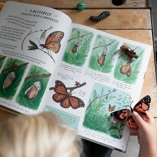 【英國版】精裝知識科普繪本🍀Slow Down: 50 Mindful Moments in Nature🍀缺書店-細節圖2