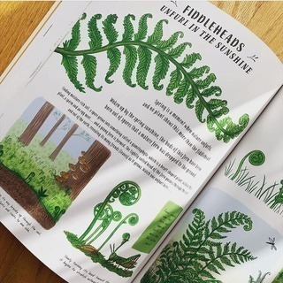 【英國版】精裝知識科普繪本🍀Slow Down: 50 Mindful Moments in Nature🍀缺書店-細節圖3