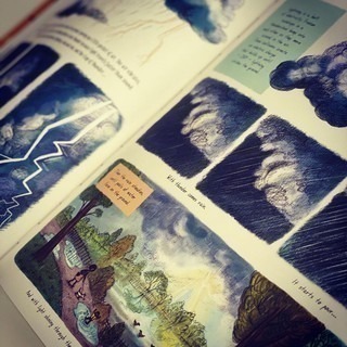 【英國版】精裝知識科普繪本🍀Slow Down: 50 Mindful Moments in Nature🍀缺書店-細節圖6