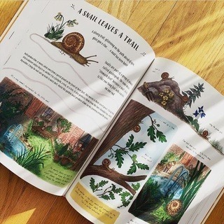 【英國版】精裝知識科普繪本🍀Slow Down: 50 Mindful Moments in Nature🍀缺書店-細節圖8