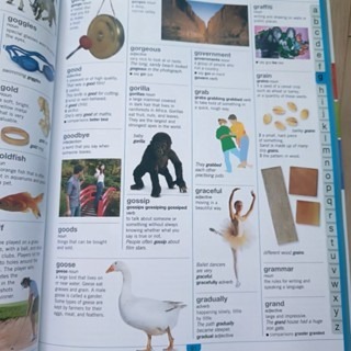 現貨塑封DK 精裝英文字典 Children＇s Illustrated Dictionary (英國版)🍀缺書店-細節圖3