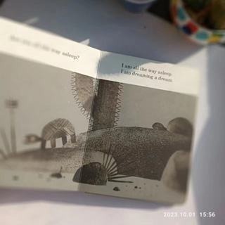 塑封贈音檔🍀獲獎英文經典繪本We Found a Hat🍀美國B&N獨家限量版🍀Jon Klassen🍀缺書店-細節圖5