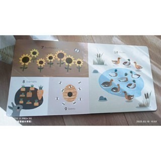 英文啟蒙繪本Baby Play FARM浮凸立體設計+顏色+形狀+數數+農場動物+找找看+畫風柔和🍀缺書店-細節圖6