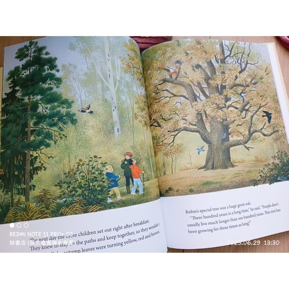 精裝英文繪本A Year Around the Great Oak🍀Gerda Muller畫風復古細膩🍀缺書店-細節圖5