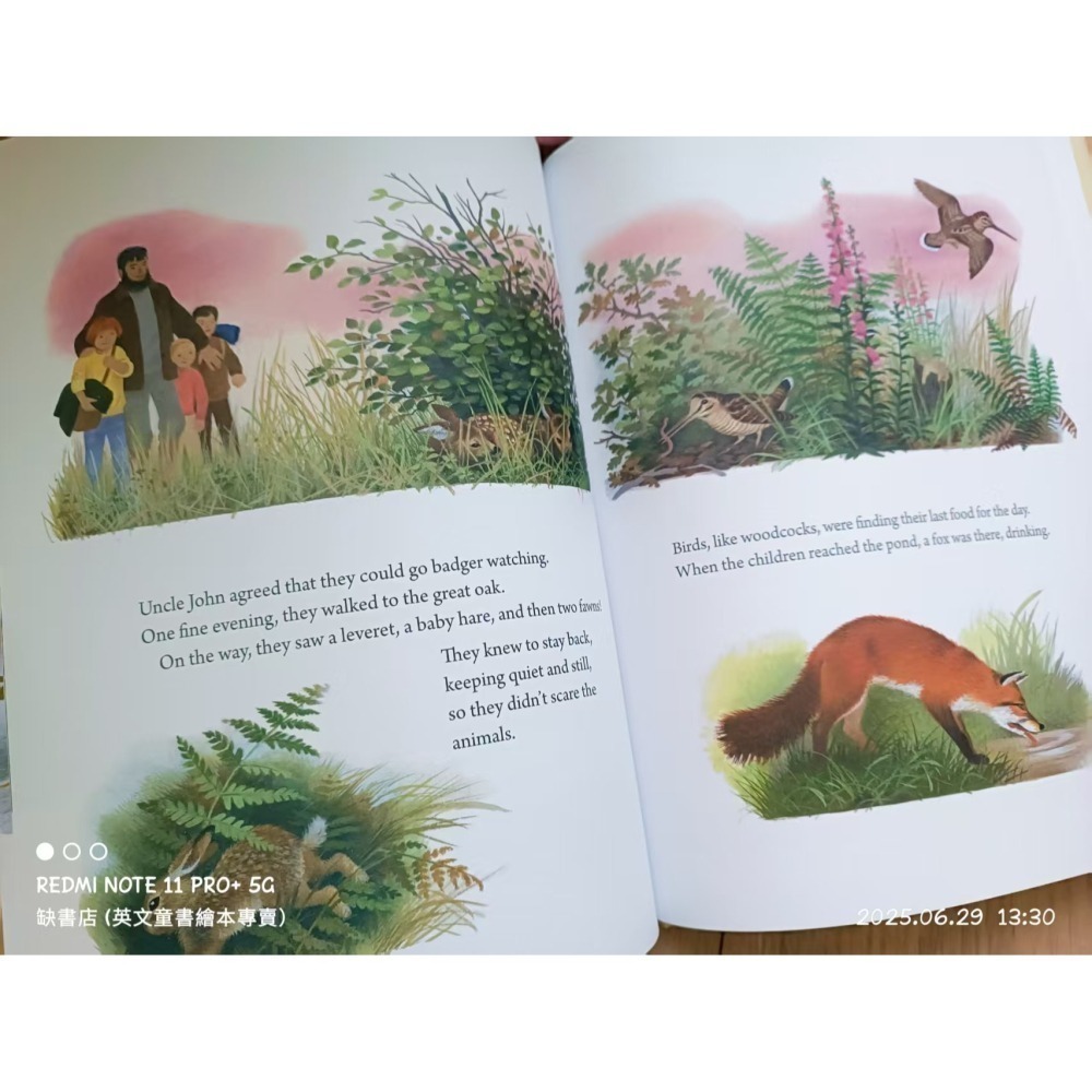 精裝英文繪本A Year Around the Great Oak🍀Gerda Muller畫風復古細膩🍀缺書店-細節圖8