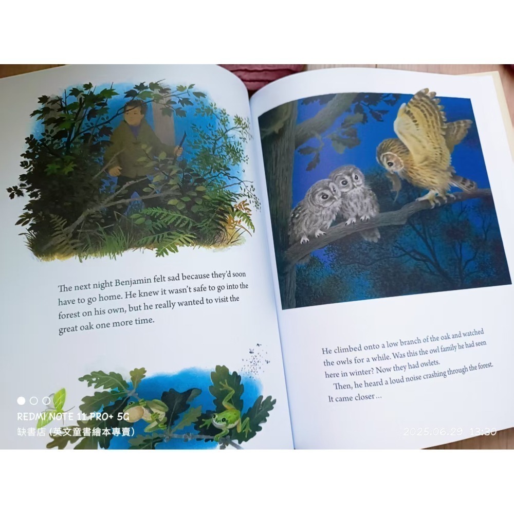 精裝英文繪本A Year Around the Great Oak🍀Gerda Muller畫風復古細膩🍀缺書店-細節圖9