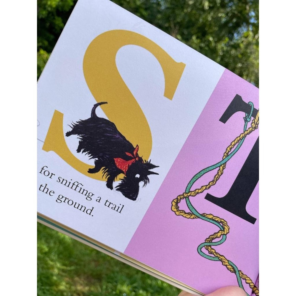 幽默逗趣的精裝英文繪本🍀D Is for Dog🍀狗狗主題的字母書【押韻文字】Sara Ogilvie🍀缺書店-細節圖2