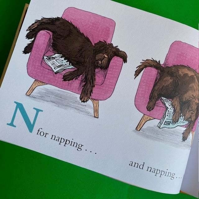 幽默逗趣的精裝英文繪本🍀D Is for Dog🍀狗狗主題的字母書【押韻文字】Sara Ogilvie🍀缺書店-細節圖4