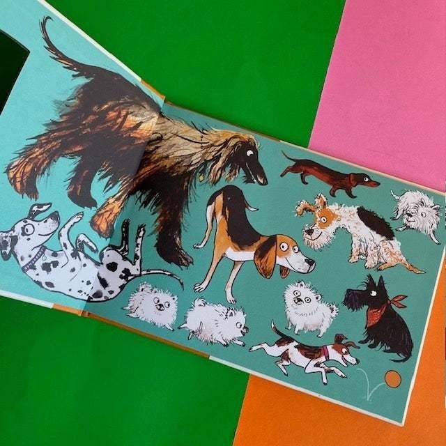 幽默逗趣的精裝英文繪本🍀D Is for Dog🍀狗狗主題的字母書【押韻文字】Sara Ogilvie🍀缺書店-細節圖6