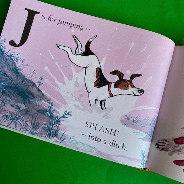 幽默逗趣的精裝英文繪本🍀D Is for Dog🍀狗狗主題的字母書【押韻文字】Sara Ogilvie🍀缺書店-細節圖9