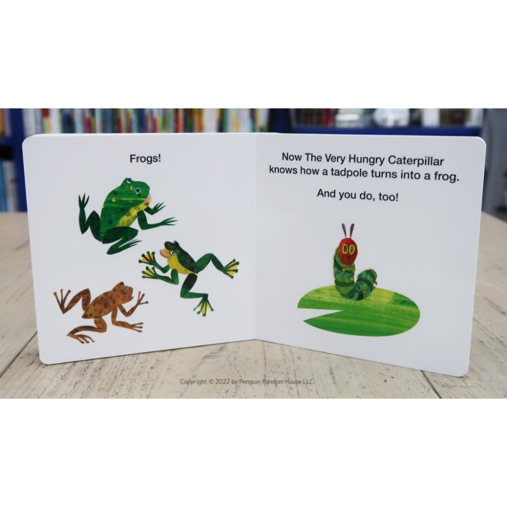 小開本硬頁書英文知識繪本🍀How Does A Tadpole Grow?青蛙生長過程🍀缺書店-細節圖4