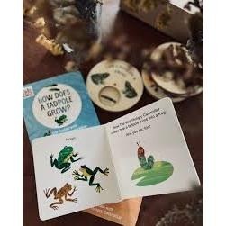 小開本硬頁書英文知識繪本🍀How Does A Tadpole Grow?青蛙生長過程🍀缺書店-細節圖5